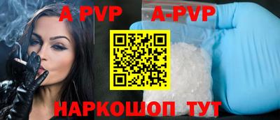 гашик Донской