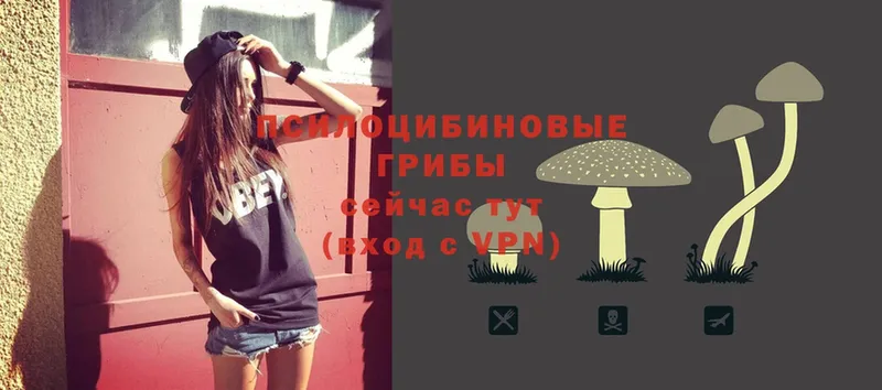 Галлюциногенные грибы Magic Shrooms  как найти закладки  Уфа 